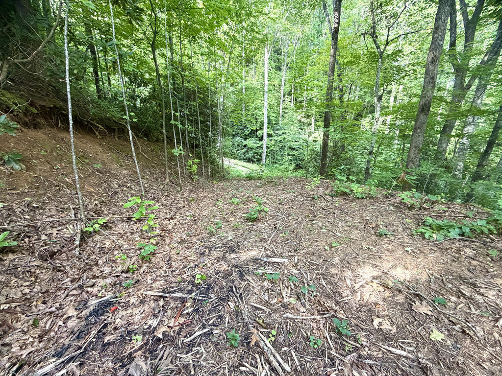 Photo of 00 Sr 1240 Sawyers Creek Road, Robbinsville, NC 28771 (MLS # 26048363)