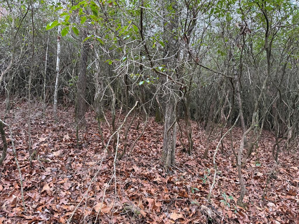 Lot 23 Ideal Acres