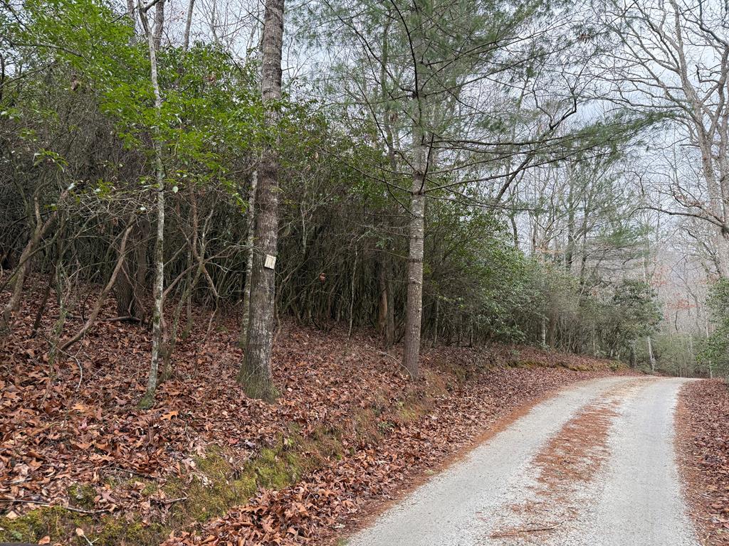 Lot 23 Ideal Acres