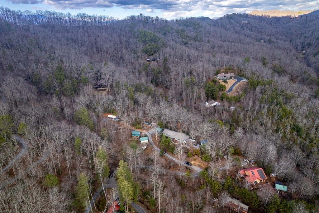 Photo of 192 Iris Lane, Whittier, NC 28789 (MLS # 26046547)