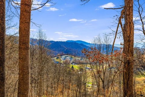 Photo of 550 Cale Way, Clyde, NC 28721 (MLS # 26045246)