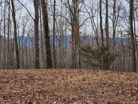 Photo of 00 Highlands Pass, Franklin, NC 28763 (MLS # 26041309)