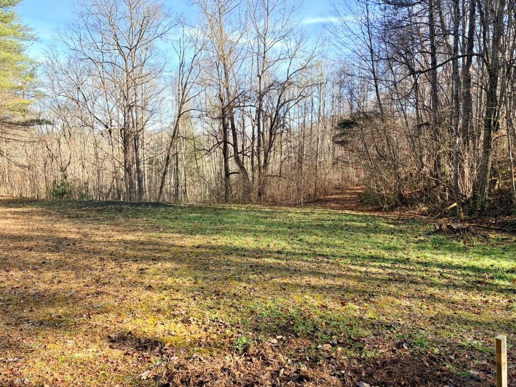 Photo of 000 Genesis Trail Dr, Sylva, NC 28779 (MLS # 26042876)