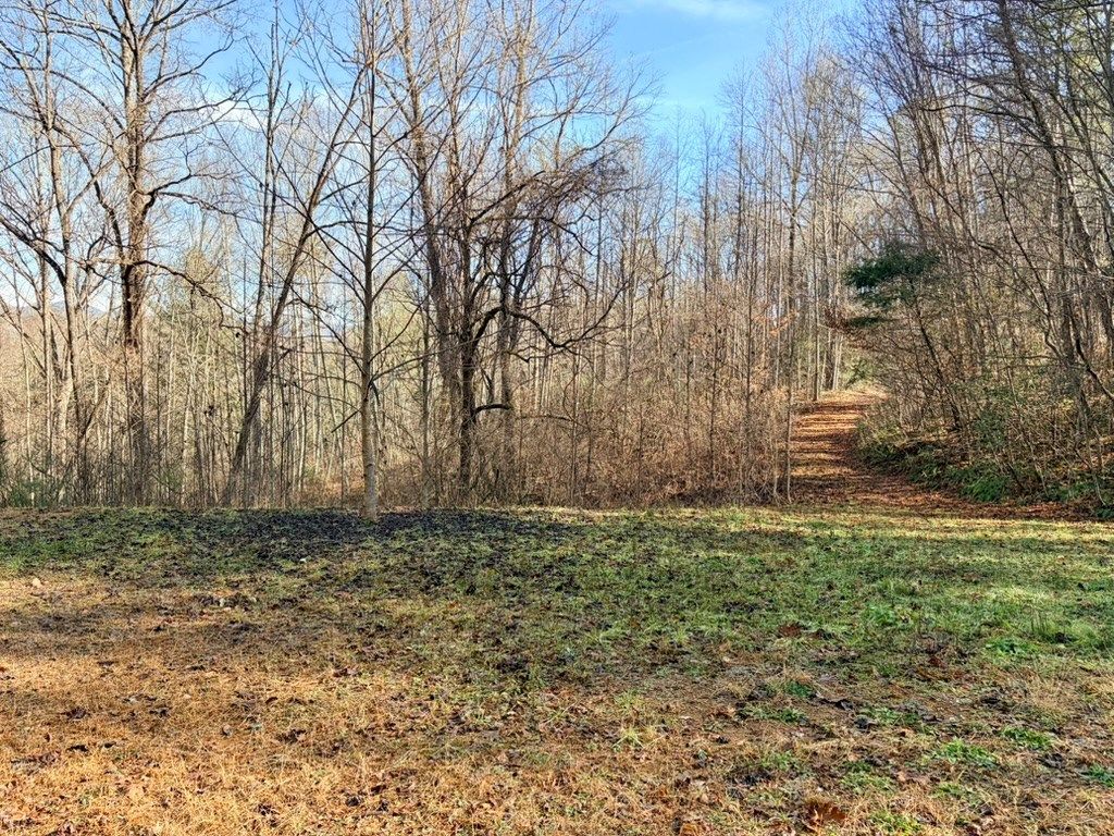 Photo of 000 Genesis Trail Dr, Sylva, NC 28779 (MLS # 26042876)