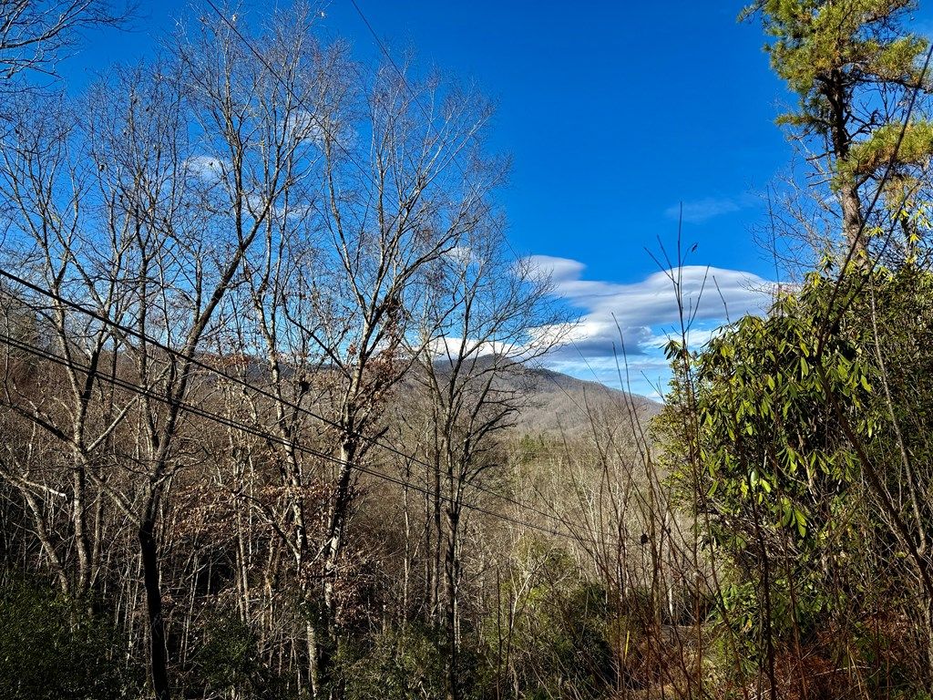 Photo of 0 Steep Hill Rd, Sylva, NC 28779 (MLS # 26042857)