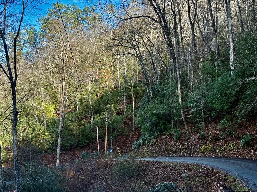 Photo of 0 Steep Hill Rd, Sylva, NC 28779 (MLS # 26042857)