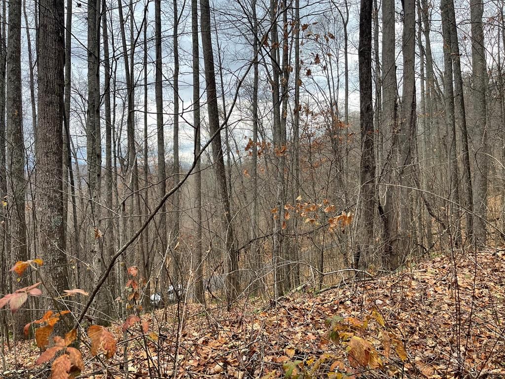 Photo of 805 Sparkling Falls, Whittier, NC 28789 (MLS # 26042754)