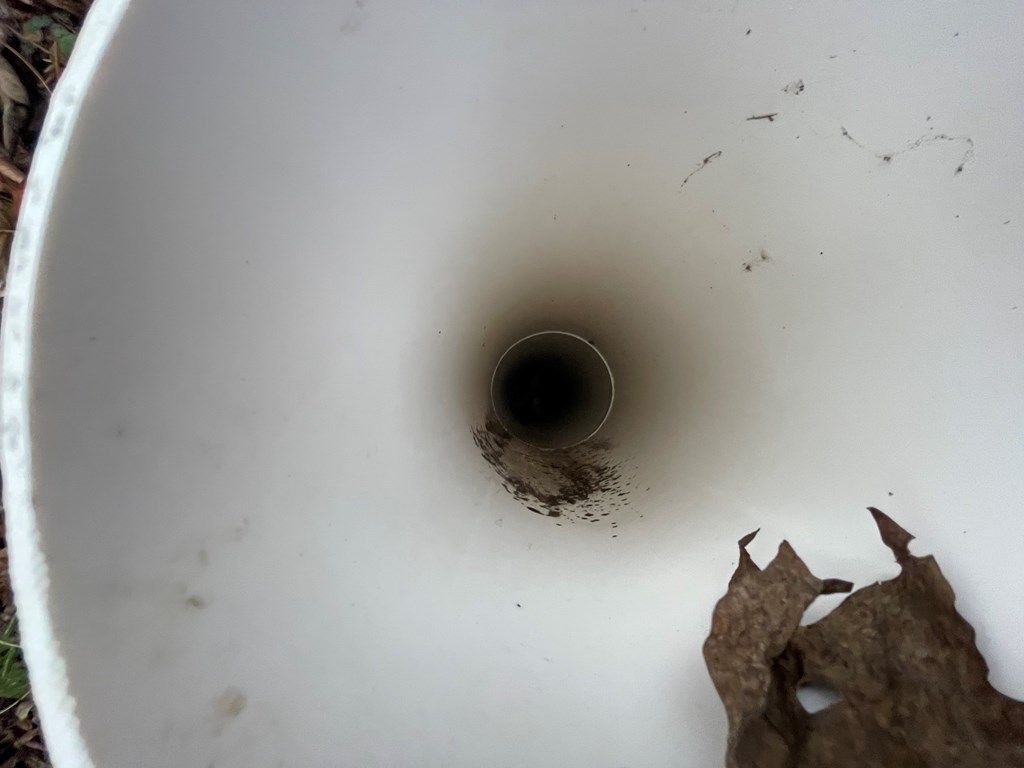 Photo of 805 Sparkling Falls, Whittier, NC 28789 (MLS # 26042754)