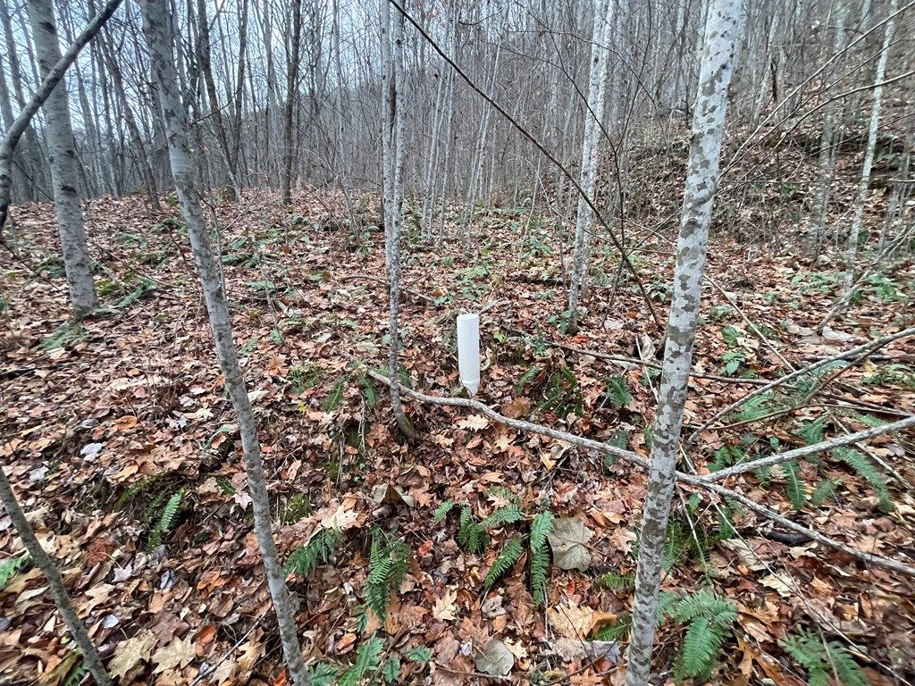 Photo of 805 Sparkling Falls, Whittier, NC 28789 (MLS # 26042754)