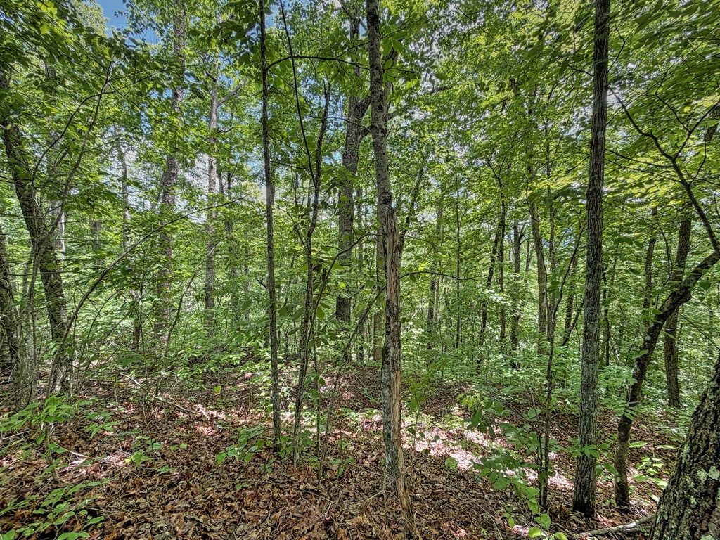 Photo of 0 Fortner Ave, Bryson City, NC 28713 (MLS # 26047353)