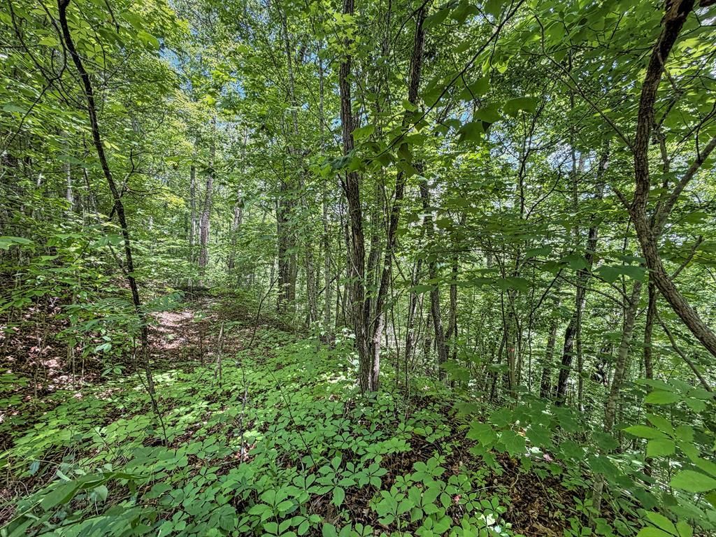 Photo of 0 Fortner Ave, Bryson City, NC 28713 (MLS # 26047353)