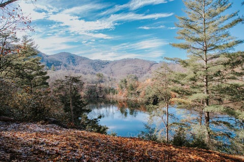 Photo of 134 Dars Lane, Tuckasegee, NC 28783 (MLS # 26048040)