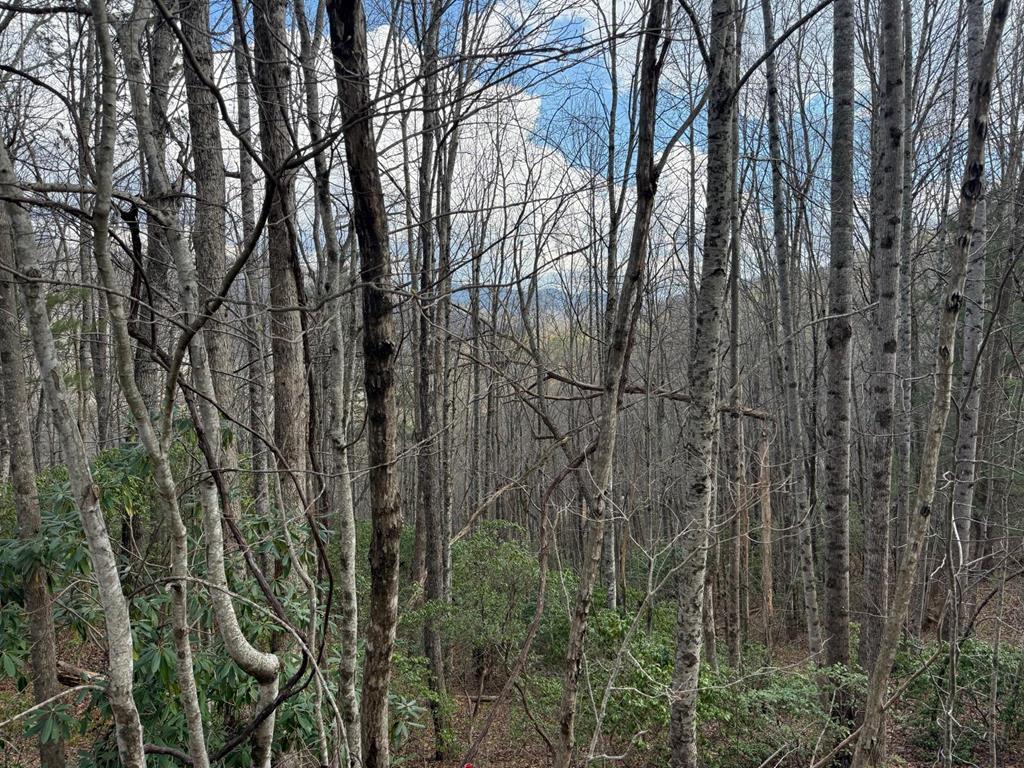 0 Ledford Branch Rd