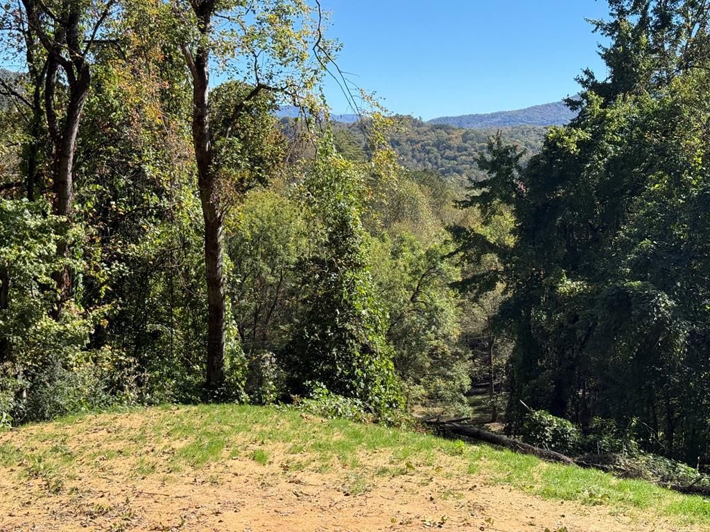 Photo of Lot 3 Miners Ridge, Bryson City, NC 28713 (MLS # 26042424)