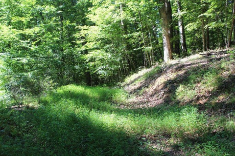 Photo of 00 Mountain Paradise Dr, Franklin, NC 28734 (MLS # 26048326)