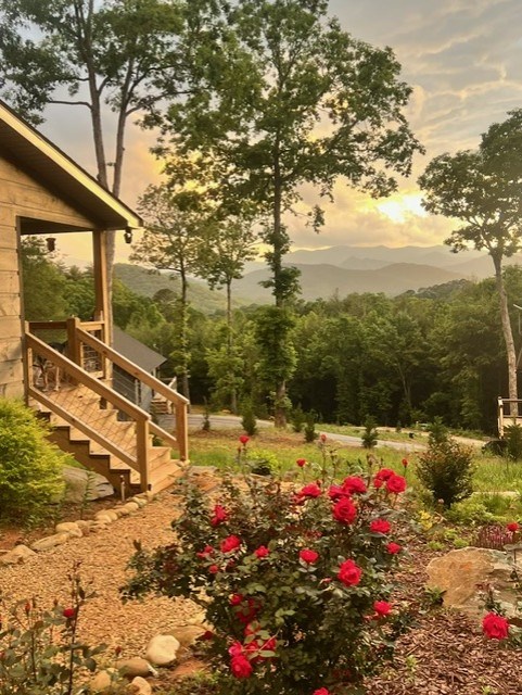 Franklin, North Carolina 28734, United States, 2 Bedrooms Bedrooms, ,1 BathroomBathrooms,Residential,Pending,136005