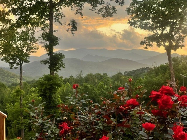 Franklin, North Carolina 28734, United States, 2 Bedrooms Bedrooms, ,1 BathroomBathrooms,Residential,Pending,136005