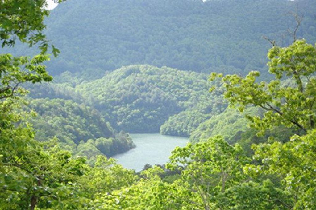 Photo of Lot 29 Lodge Fork Trail, Bryson City, NC 28713 (MLS # 26042459)