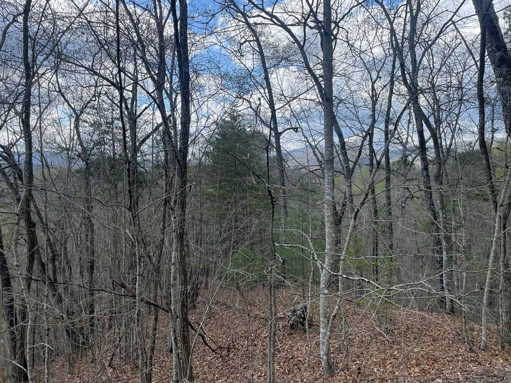 Photo of 58-1 Fontana Lake Dr, Bryson City, NC 28713 (MLS # 26046634)