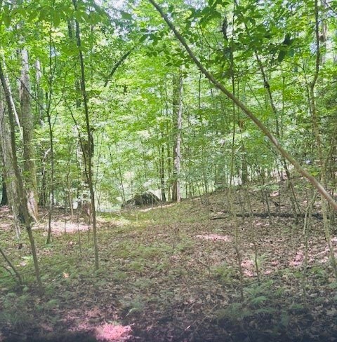 00 Macs Mountain Retreat Lane