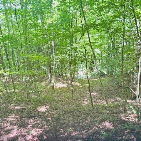 00 Macs Mountain Retreat Lane