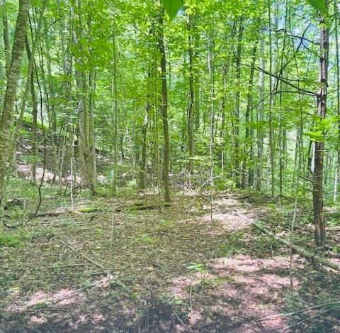 Photo of 00 Macs Mountain Retreat Lane, Franklin, NC 28734 (MLS # 26047048)