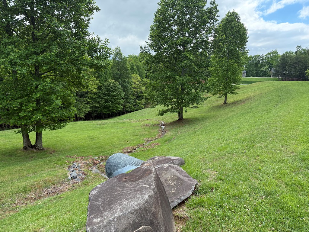 Lot 67 The Sanctuary At Vance Mountain