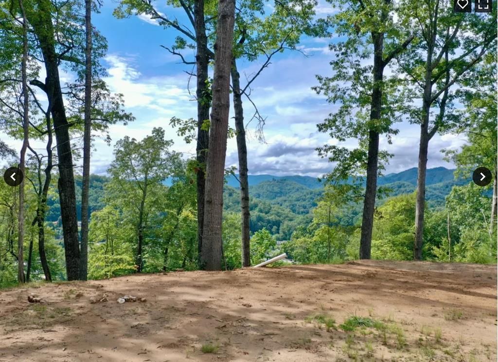 Photo of 81 Bacon Drive, Bryson City, NC 28713 (MLS # 26042026)