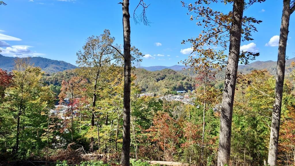 Photo of 81 Bacon Drive, Bryson City, NC 28713 (MLS # 26042026)