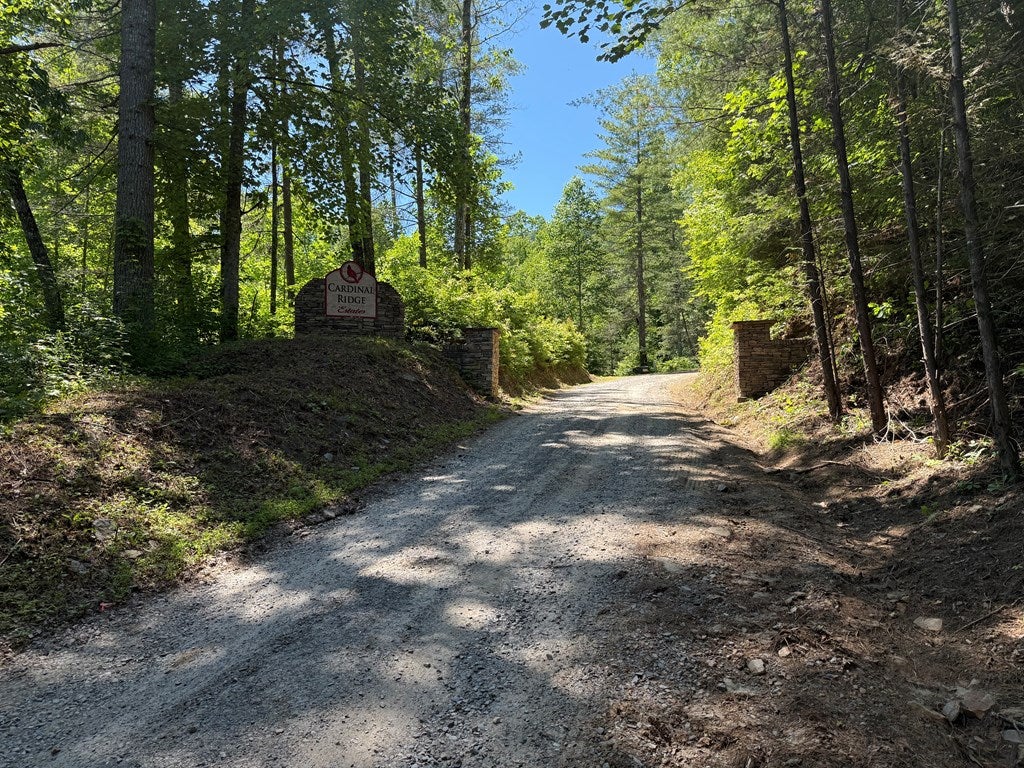 Photo of 39 Grackle Road, Murphy, NC 28906 (MLS # 26047476)