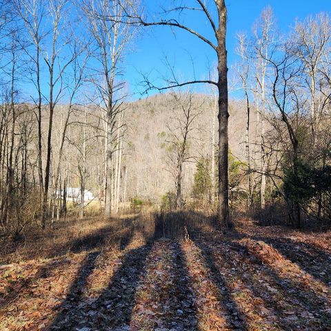 Photo of 117 Holly Lane, Franklin, NC 28734 (MLS # 26040958)