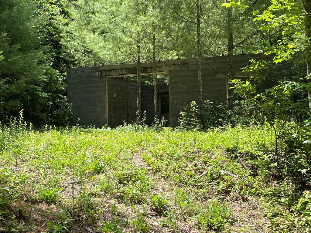 Photo of 236 Brahman Ln, Cullowhee, NC 28723 (MLS # 26041386)