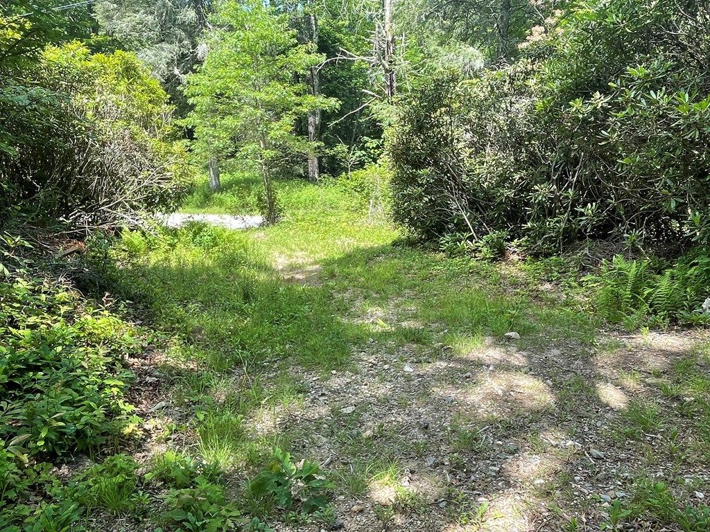Photo of 236 Brahman Ln, Cullowhee, NC 28723 (MLS # 26041386)