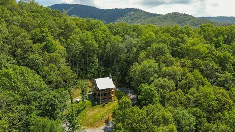 Photo of 241 Golden Hawk Drive, Bryson City, NC 28713 (MLS # 26043165)