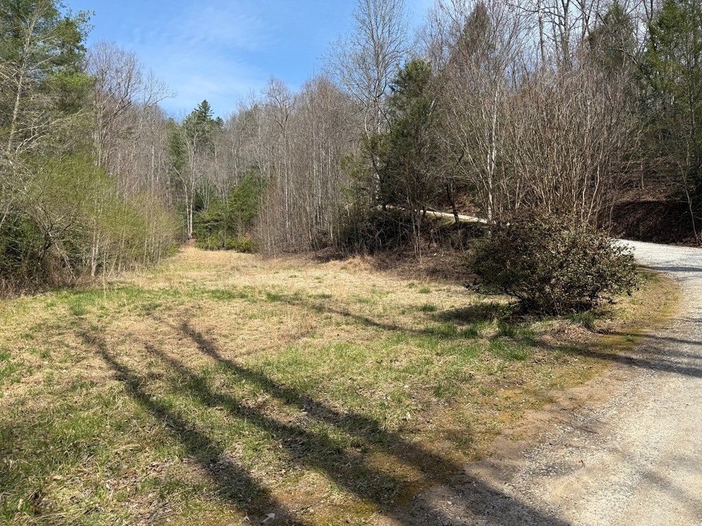 Photo of 128 Mamies Way, Robbinsville (Graham), NC 28771 (MLS # 26046690)