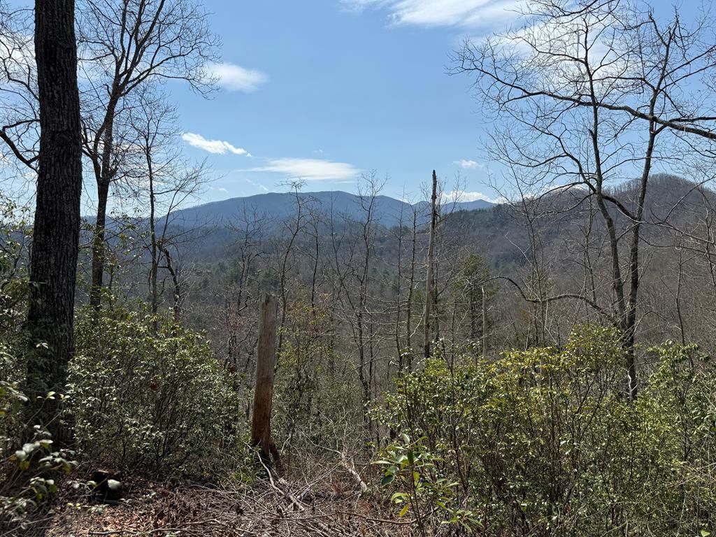 Photo of 128 Mamies Way, Robbinsville (Graham), NC 28771 (MLS # 26046690)