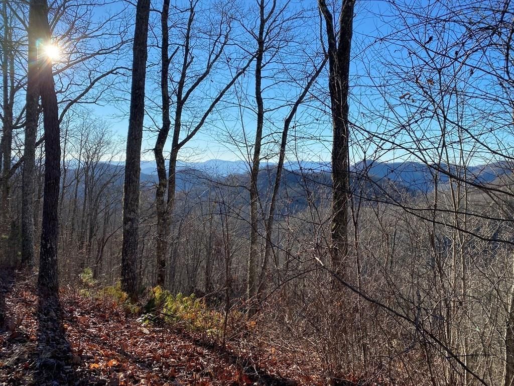 Photo of Lot 62 Hickory Nut Trail, Sylva, NC 28779 (MLS # 26041719)