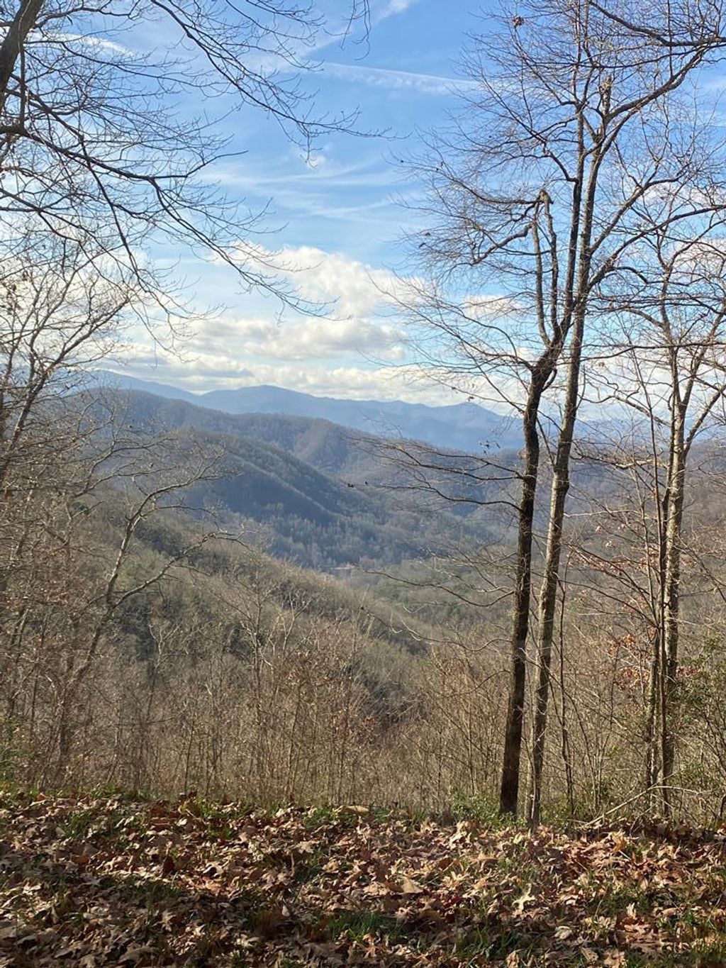 Photo of Lot 62 Hickory Nut Trail, Sylva, NC 28779 (MLS # 26041719)