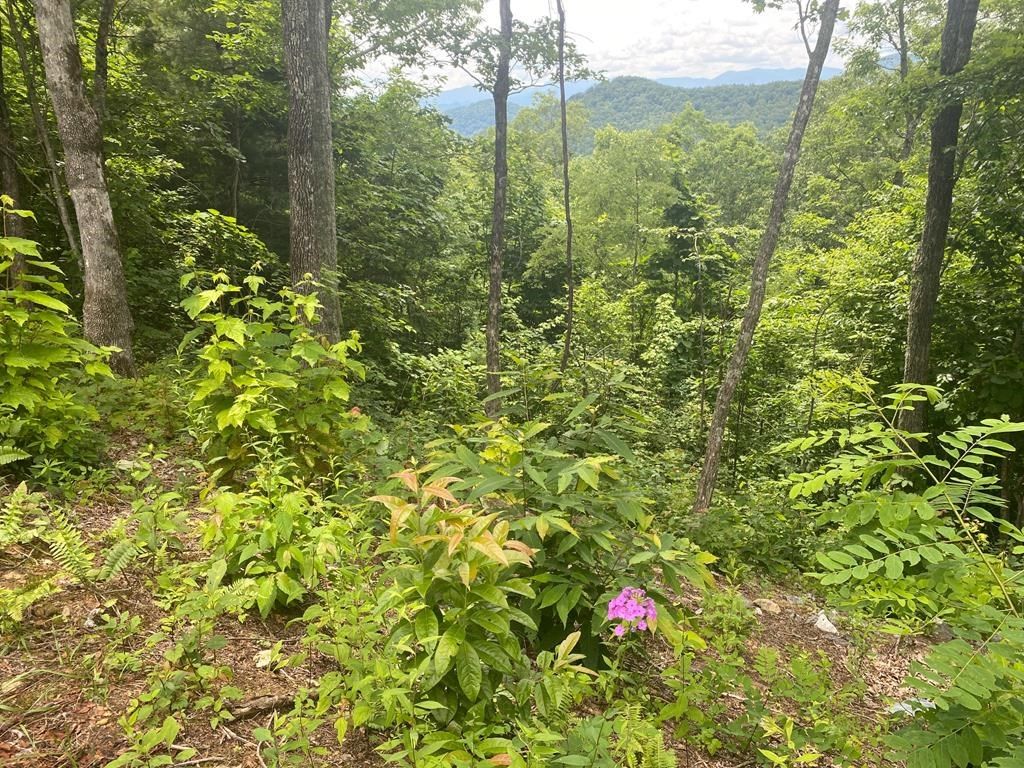 Photo of Lot 62 Hickory Nut Trail, Sylva, NC 28779 (MLS # 26041719)