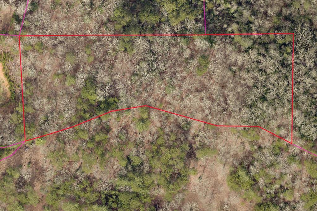 Photo of 147 Ball Rd, Bryson City, NC 28713 (MLS # 26048435)