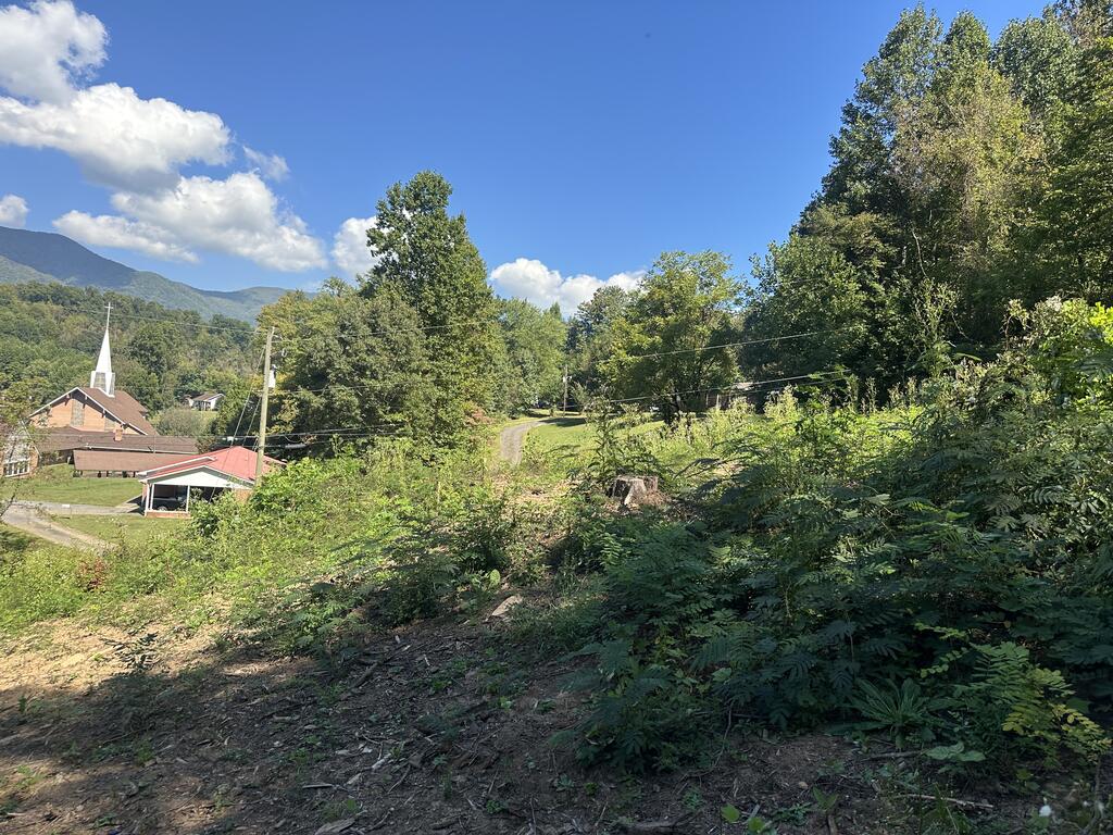 Photo of 0 Lee Street, Sylva, NC 28779 (MLS # 26048693)