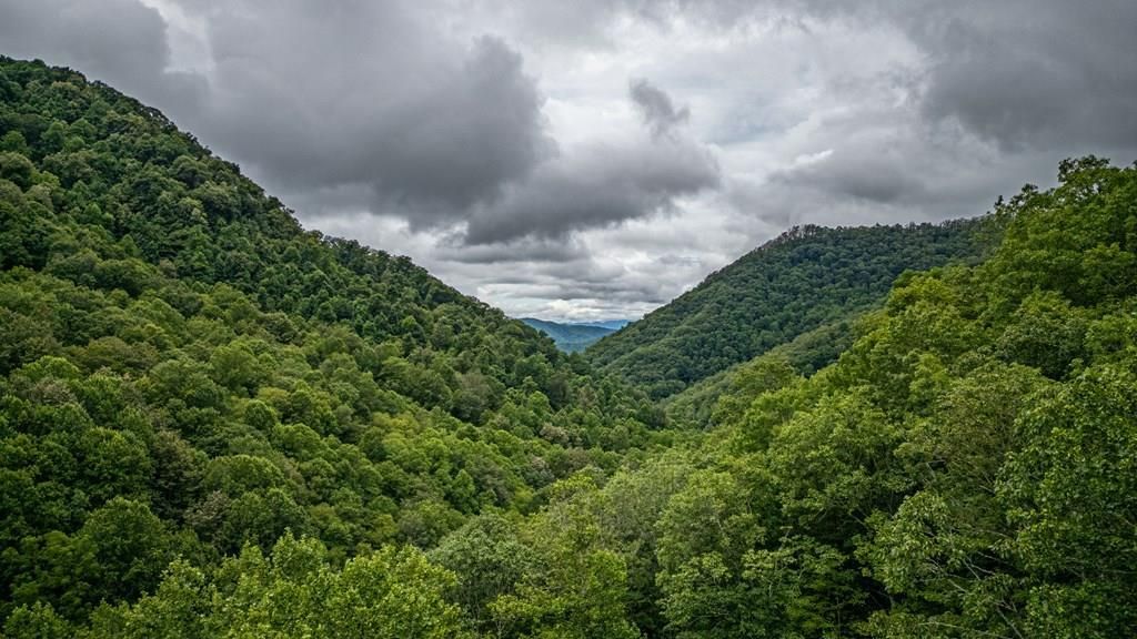 Photo of 1149 Unahala Creek Road, Bryson City, NC 28713 (MLS # 26041858)
