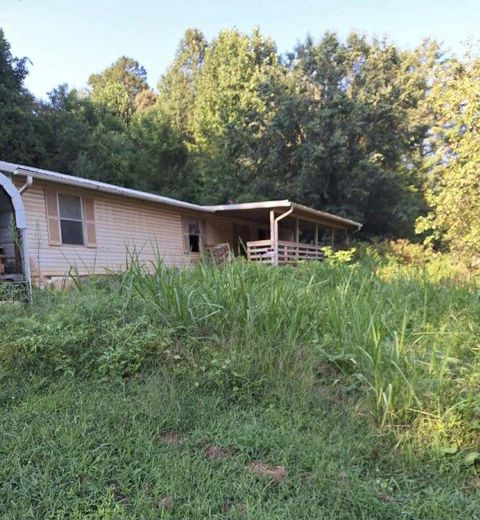 Photo of 318 Moose Branch Rd, Robbinsville (Graham), NC 28771 (MLS # 26042315)