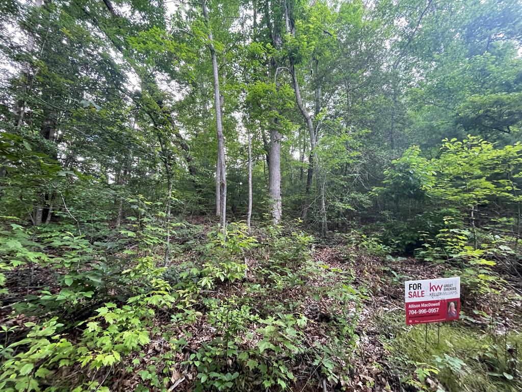 lot 13 Cedar Hill Rd