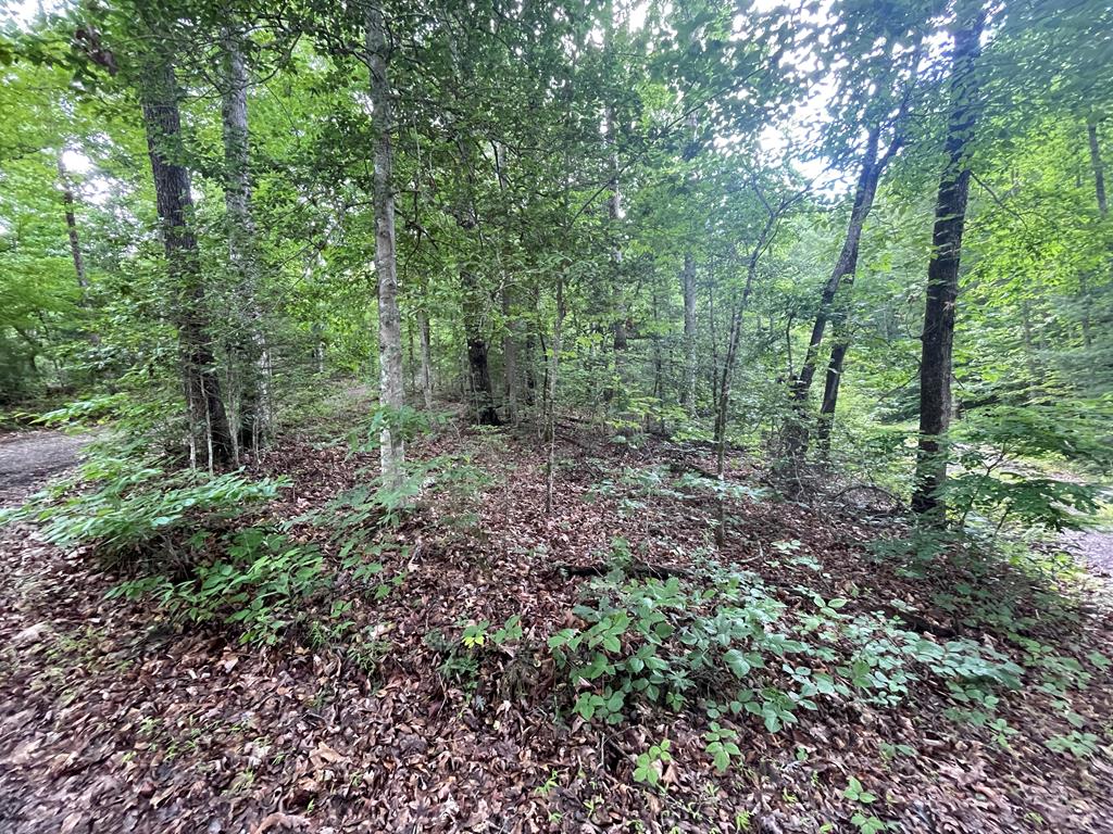 lot 13 Cedar Hill Rd