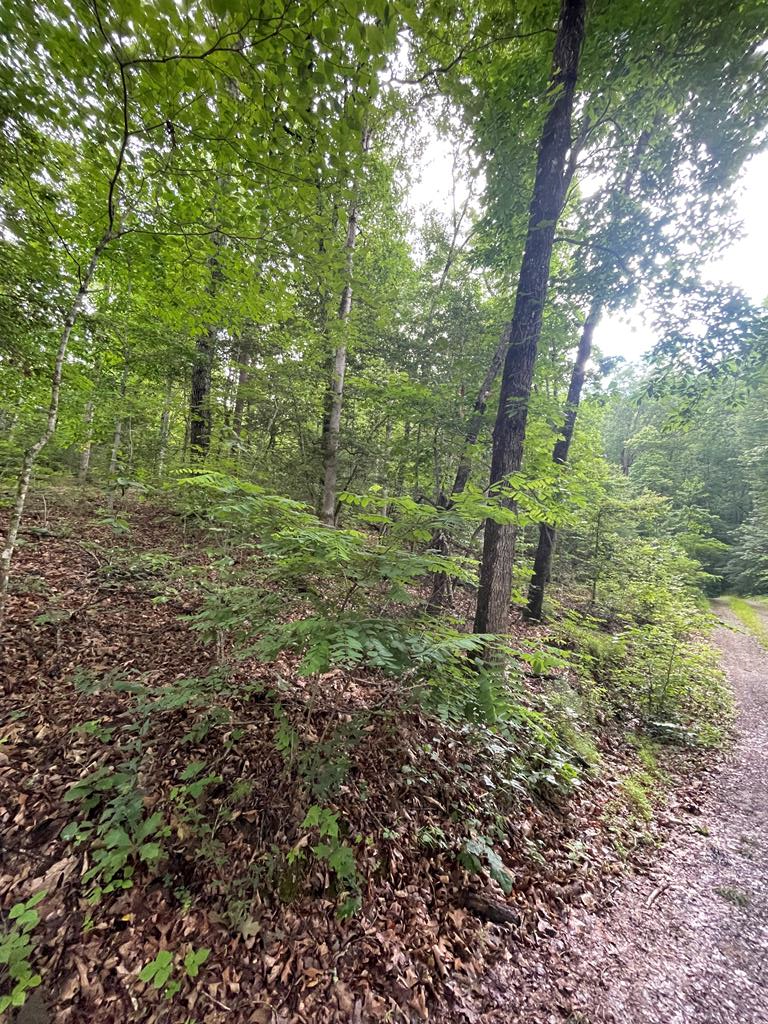 lot 13 Cedar Hill Rd