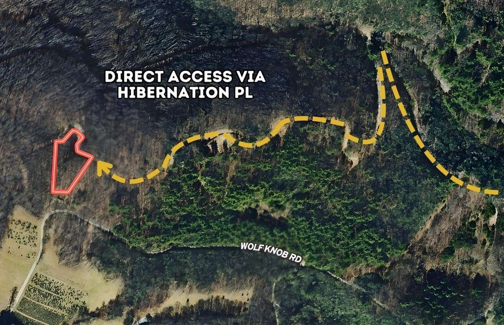 Photo of 33 Wolf Knob Road, Cullowhee, NC 28723 (MLS # 26042468)