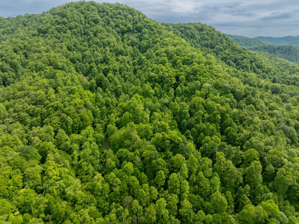 00 Walnut Cove Branch Road