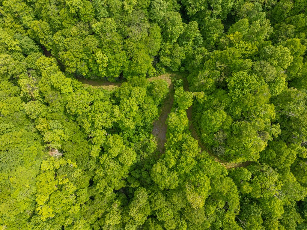 00 Walnut Cove Branch Road