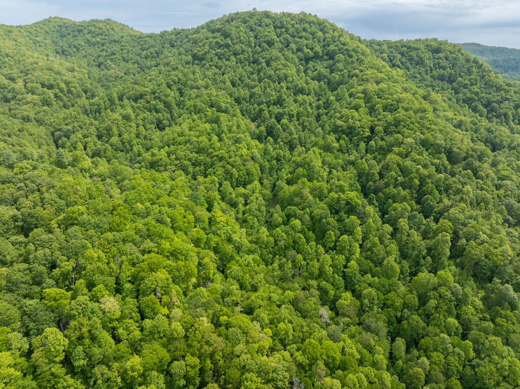 00 Walnut Cove Branch Road